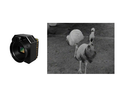 Çoklu mercekli soğutulmamış kızılötesi termal güvenlik kamera modülü